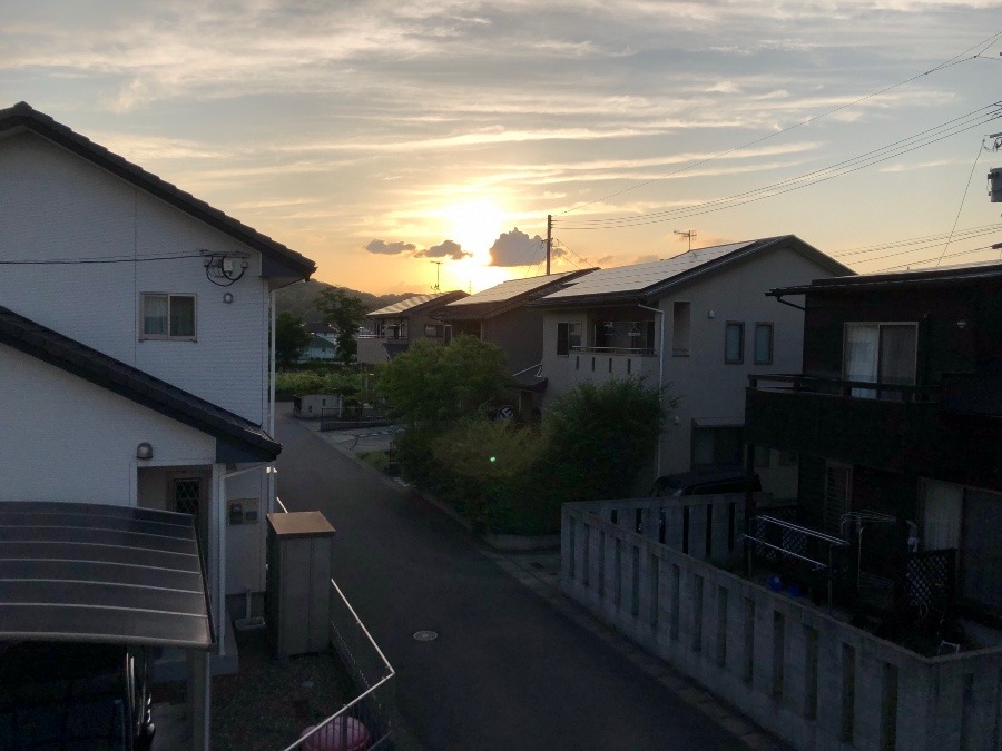 ✨夕日✨