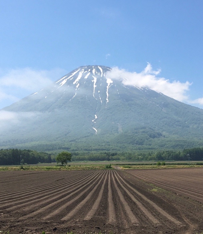 初夏の羊蹄山