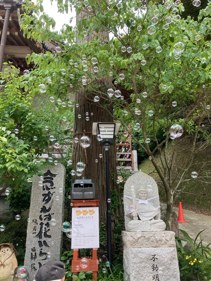 篠栗山王寺