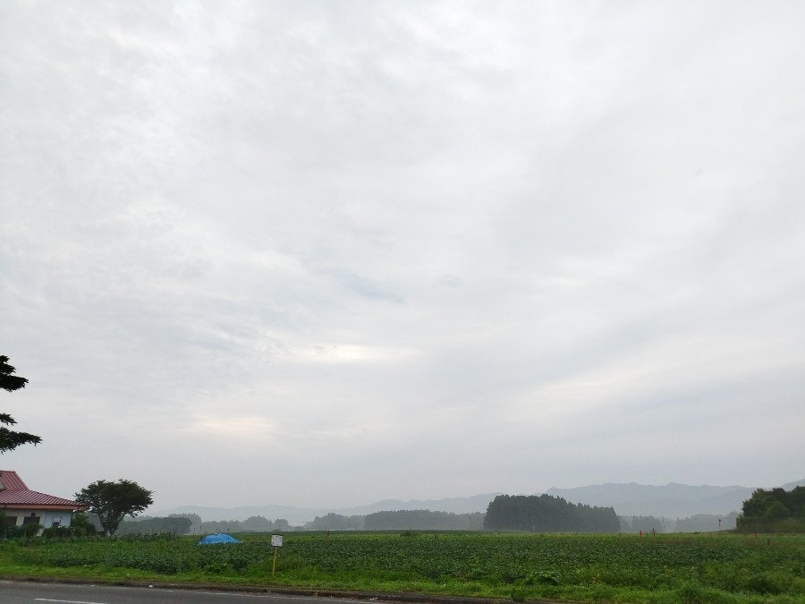 都城市（2022/6/17）今朝も曇り空です😅❗