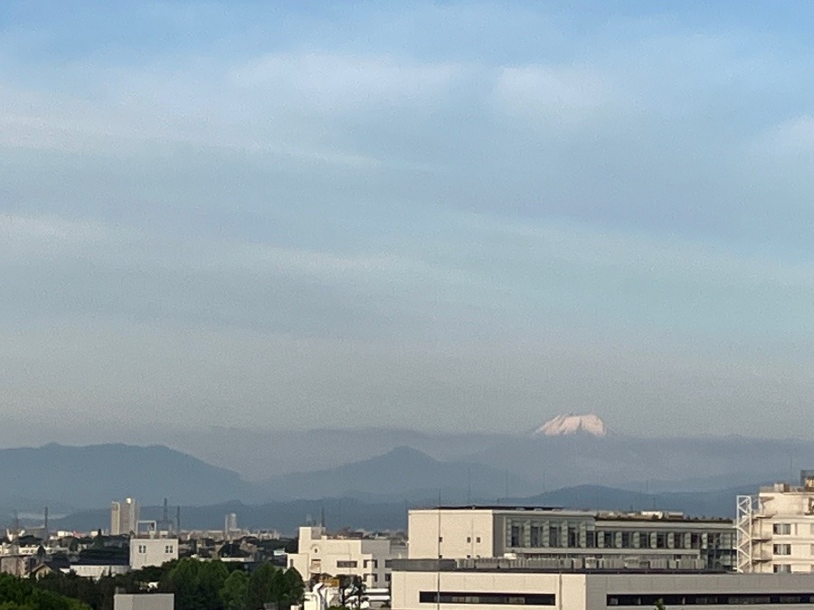 今朝の富士山