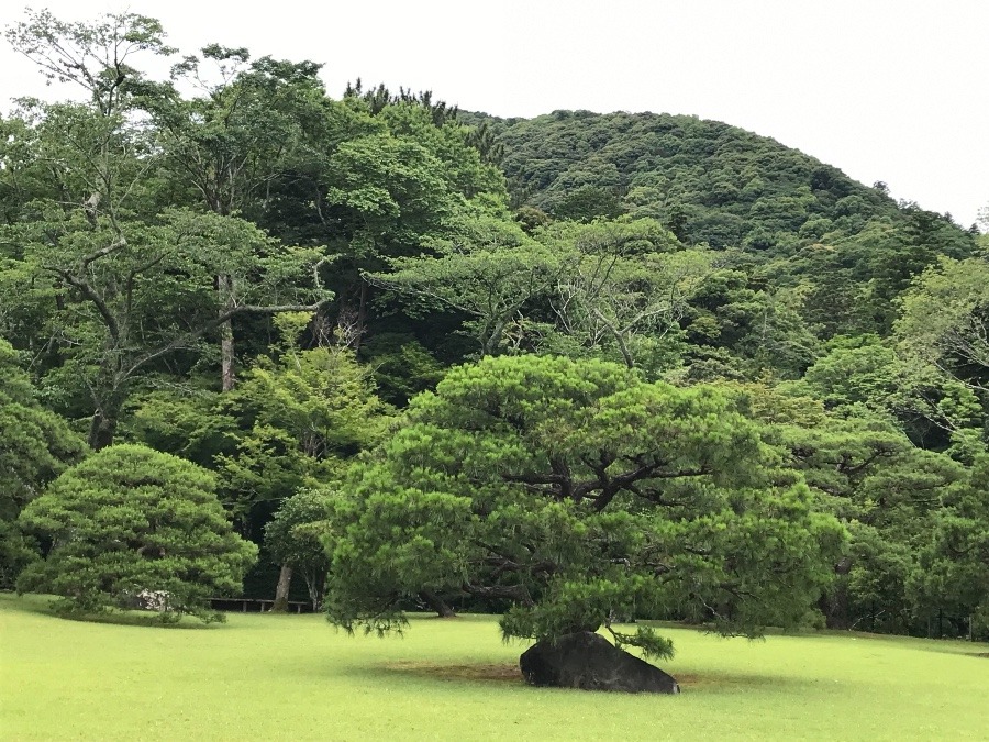 おついたちの伊勢参り