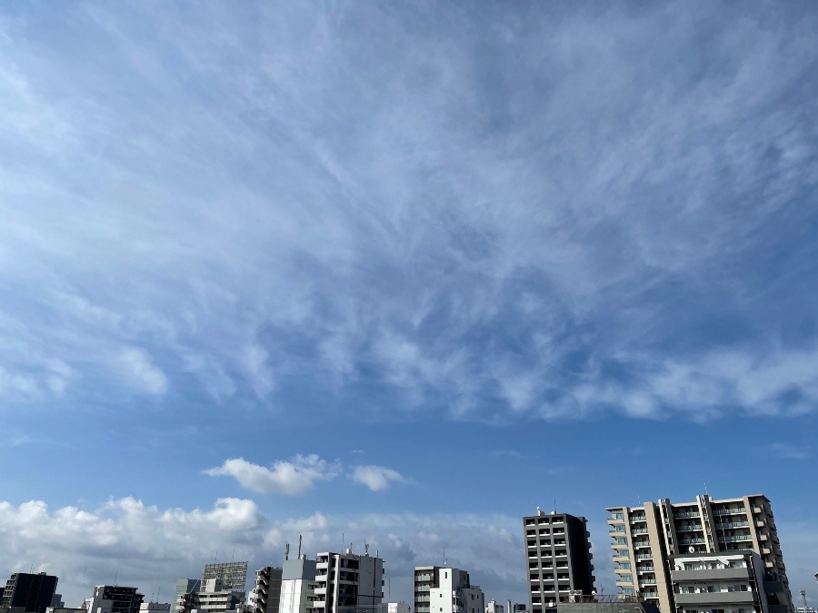 今朝の空