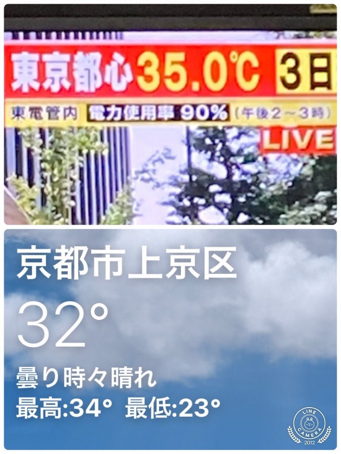 東京&京都市内の気温❣️