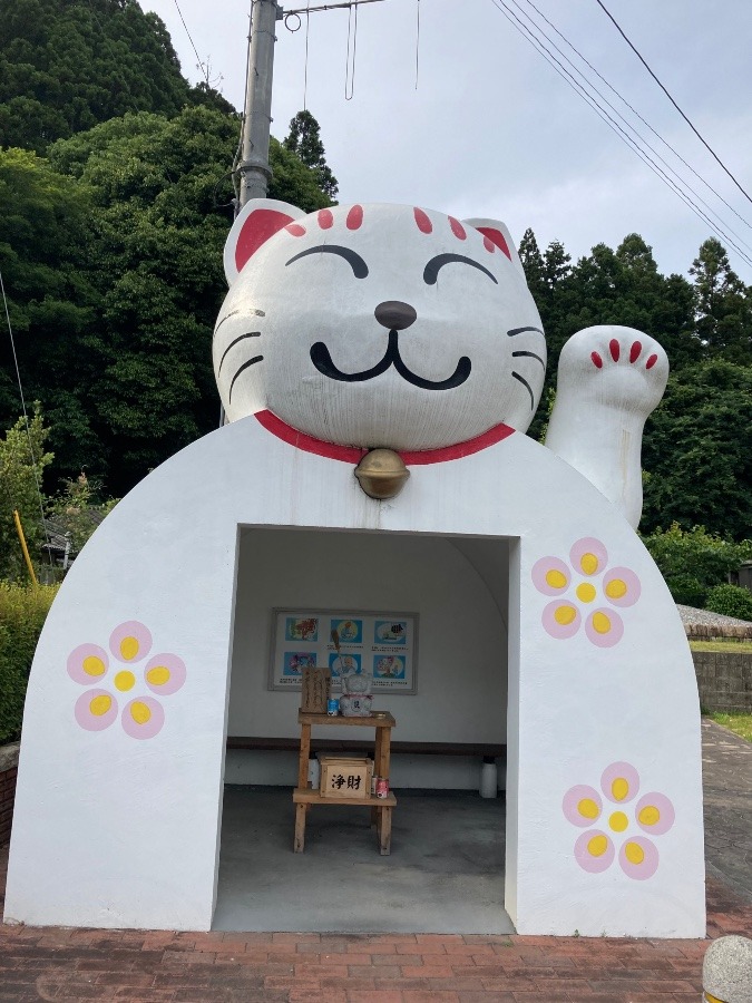 宮若の猫のバス停🐱