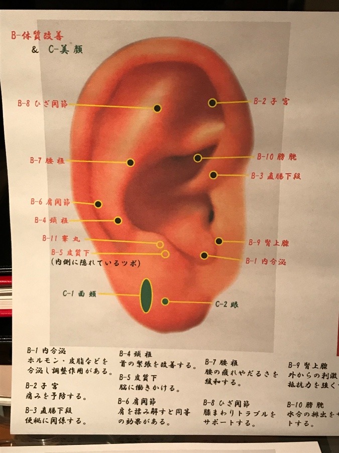 耳つぼ健康法 B体質改善&C美顔