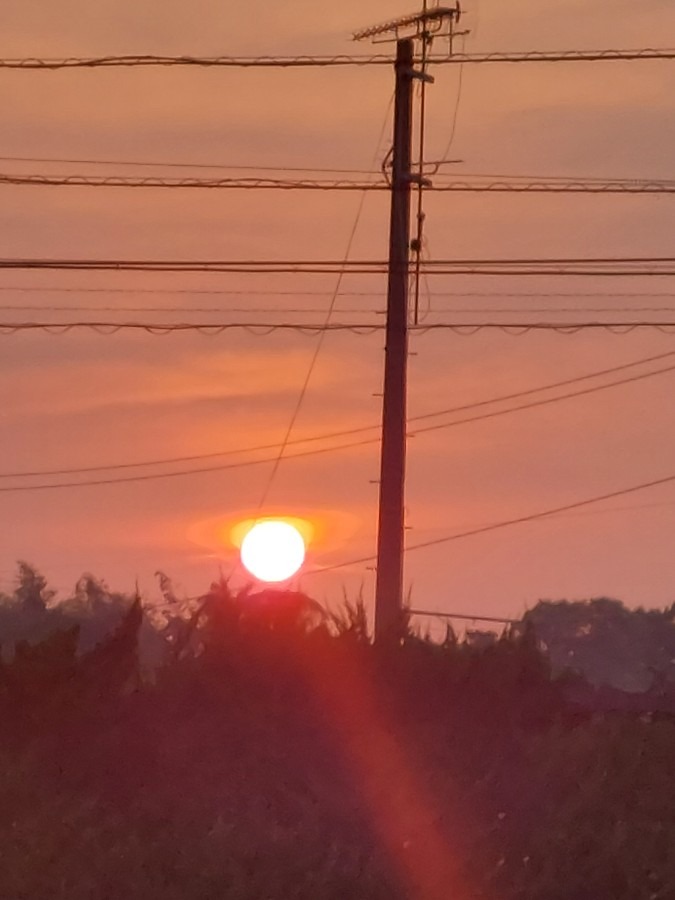 夕焼け