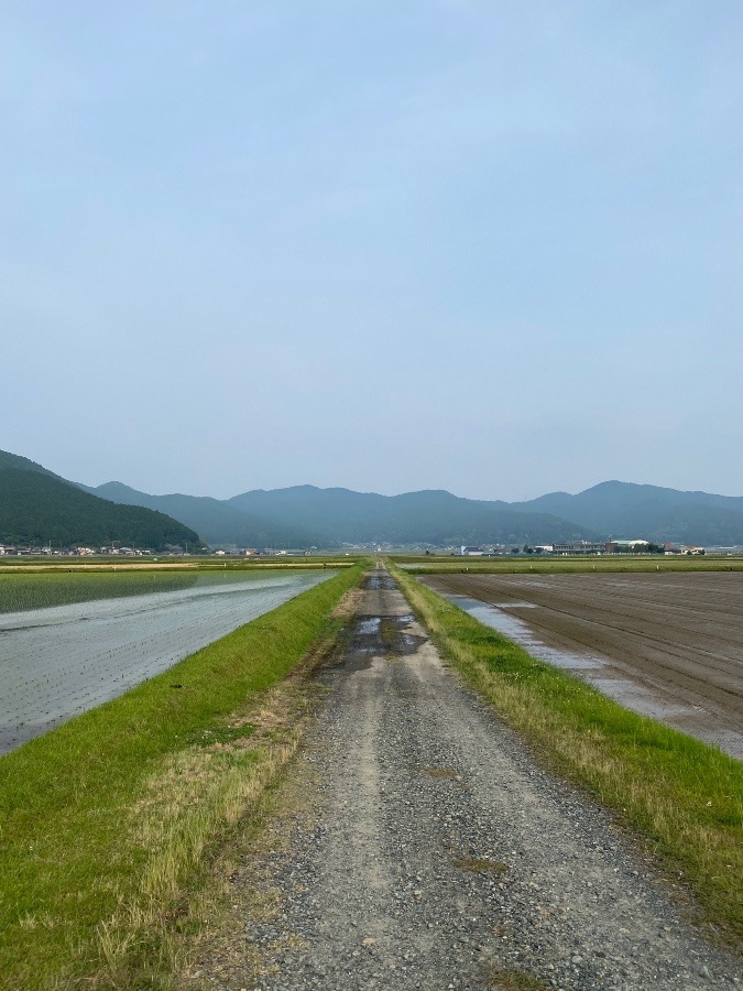 今朝そら‼️その2