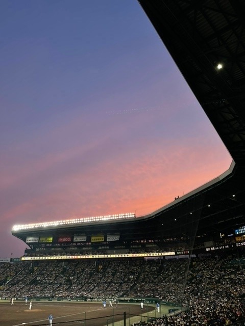 甲子園⚾️