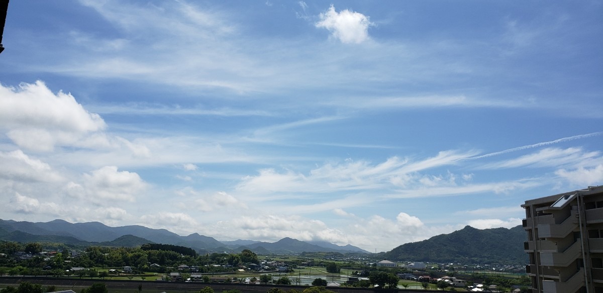 今日の雲たち☁️