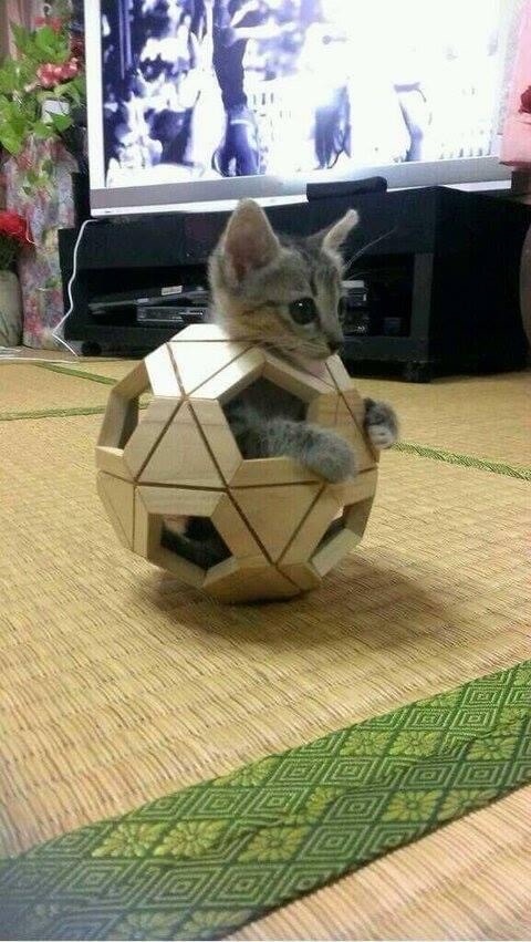 問題は…。