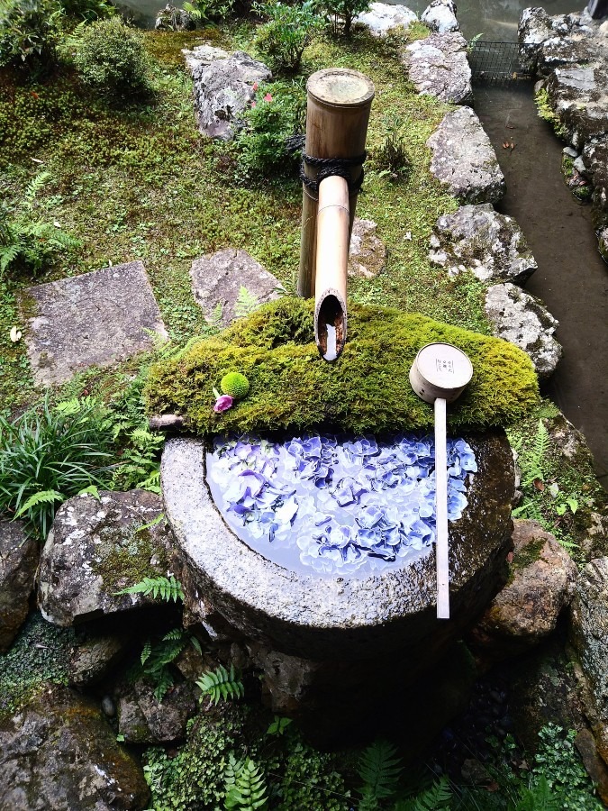 楊谷寺の手水舎