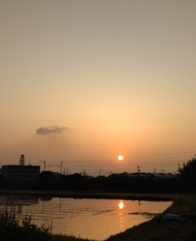 6/2朝空