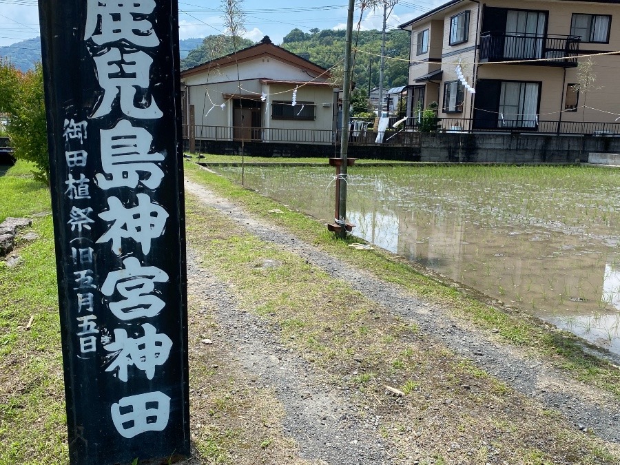 去年の今頃