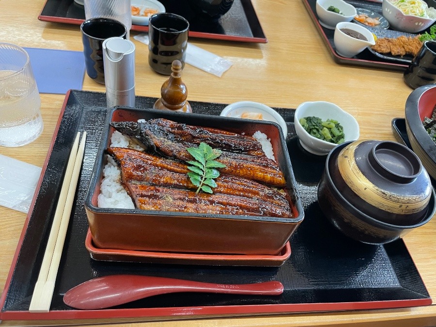 アイロニングコマーシャル