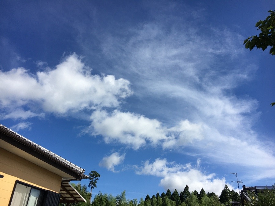 ⭕️空部→   今日の空（≧∇≦）‼️56.