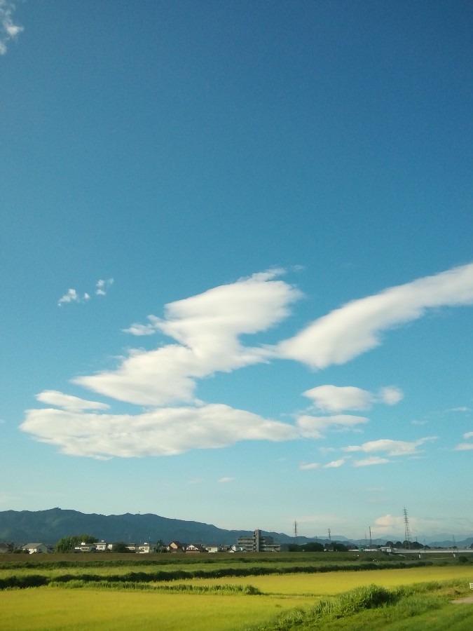 今朝の空②