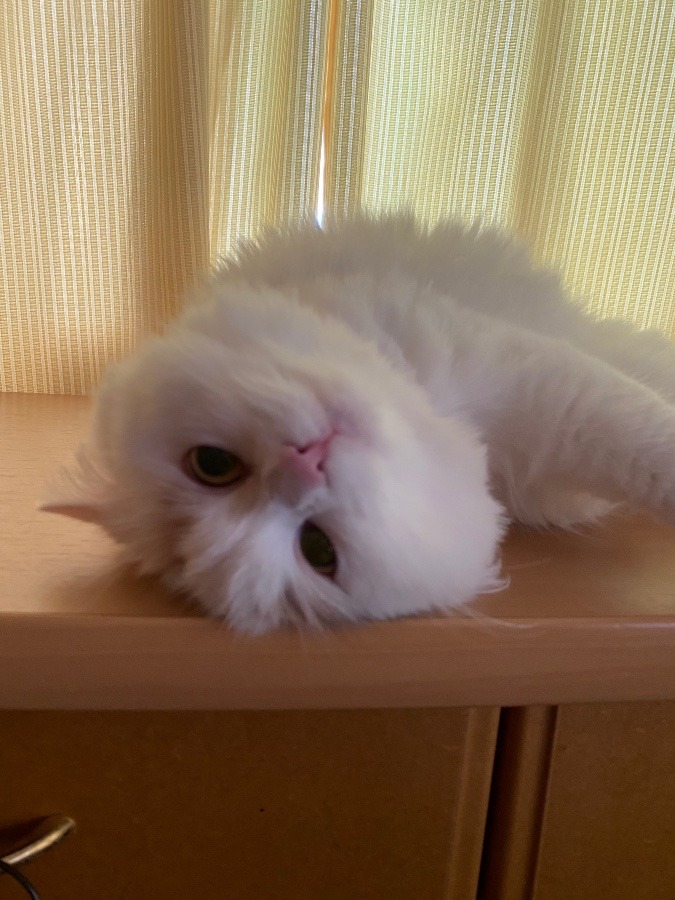 今朝もなか‼️その3