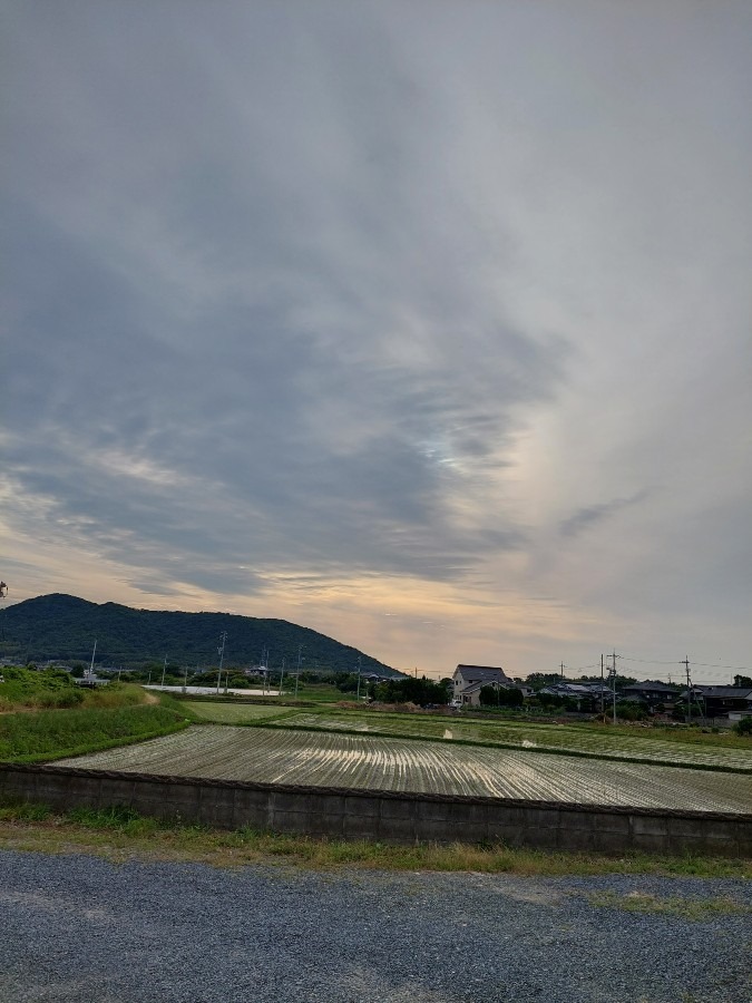 6/13朝の空