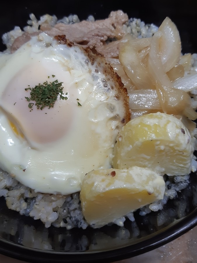 弁当🍱