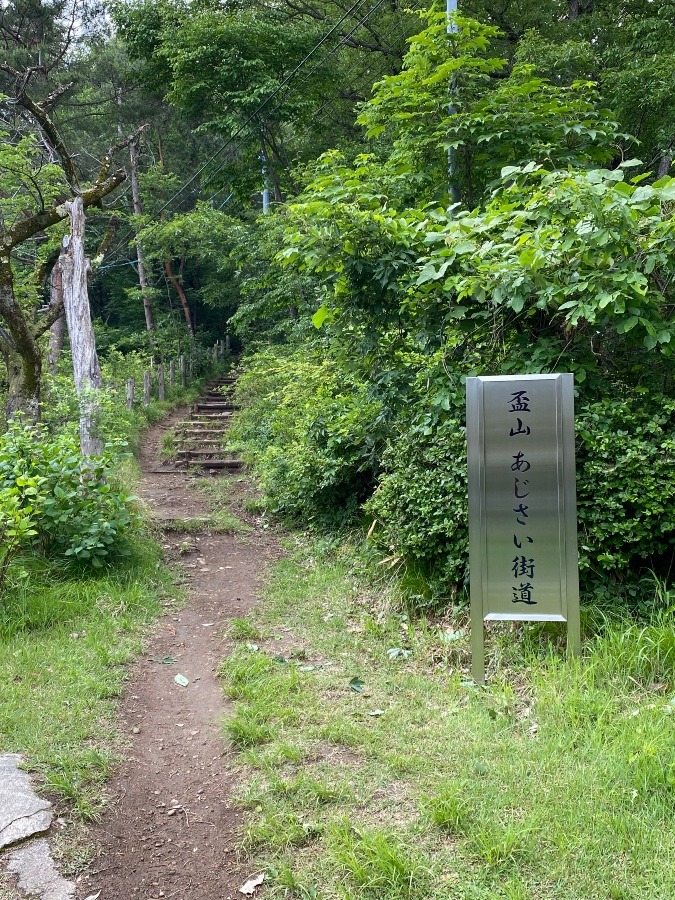 散歩コース🚶‍♀️🎶‼️