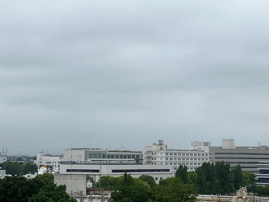 今朝の富士山