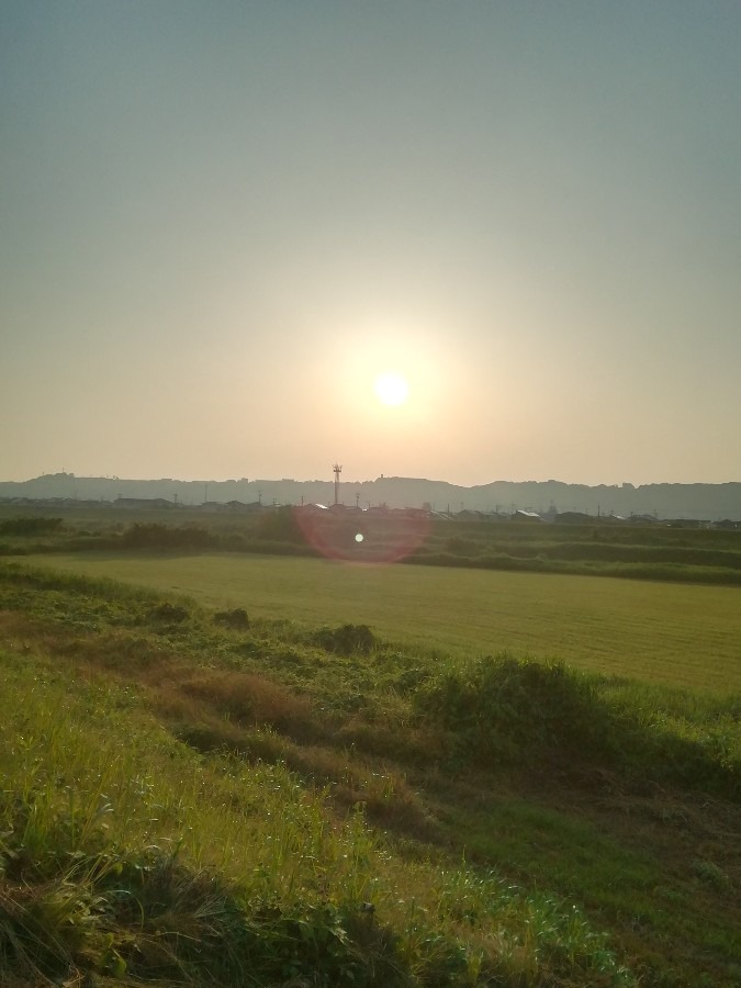 今朝の空