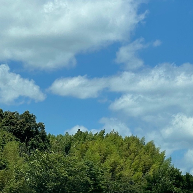 2022/6/22 昼の空