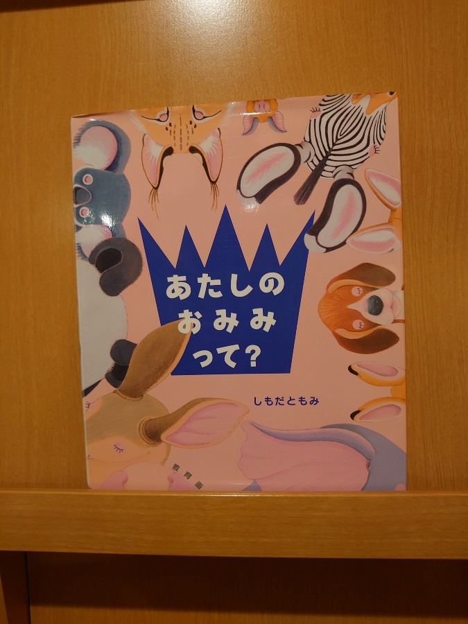 あたしンちの図書館　№21