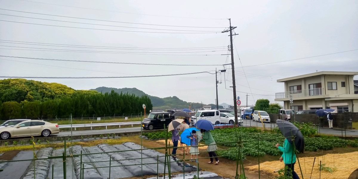 雨中☔の航空祭🛩️