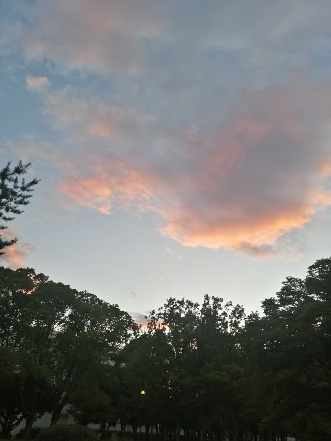 今日の夕空－6月29日