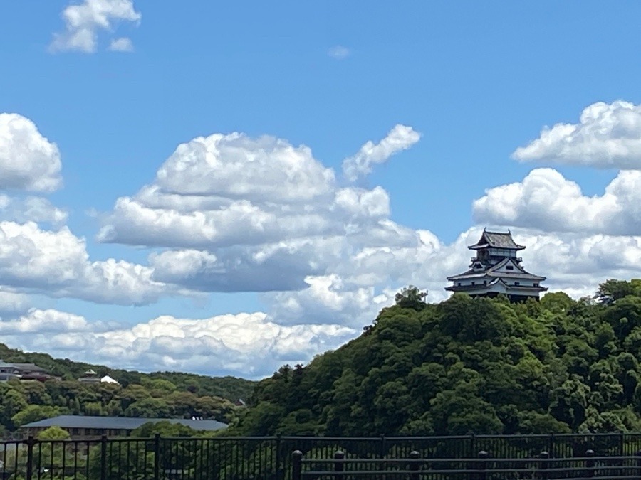 国宝犬山城