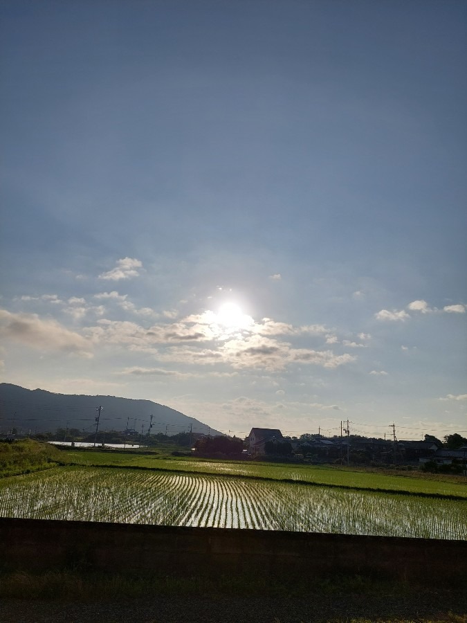 いつもの朝の空