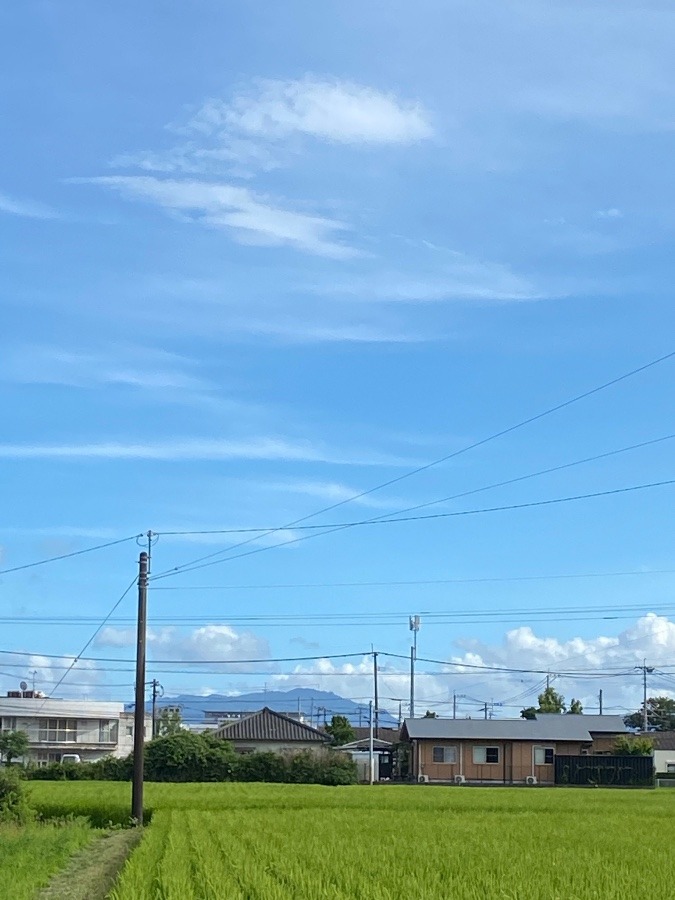 夏雲