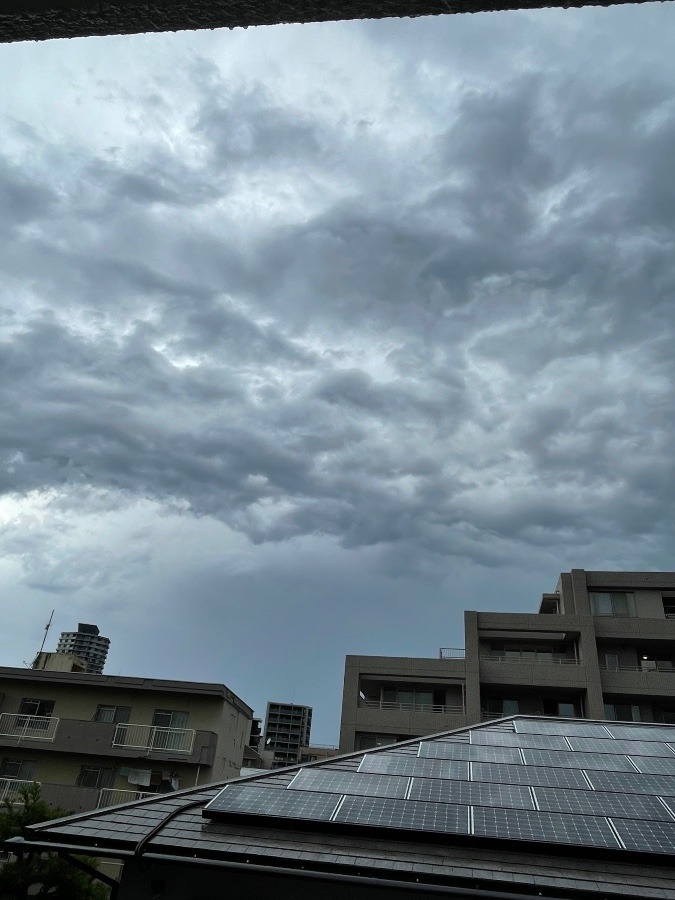 雨の福岡☔️