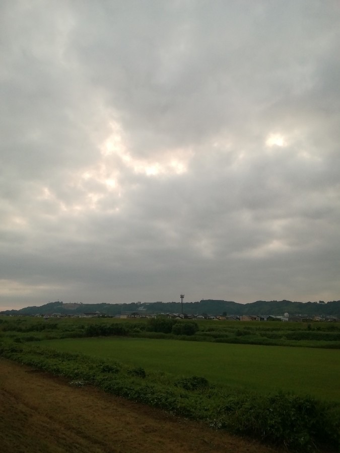 今朝の空