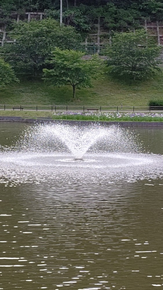 天童公園(舞鶴山)涼しげ❗️