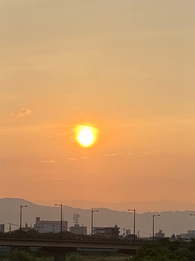 夕陽🌇‼️④