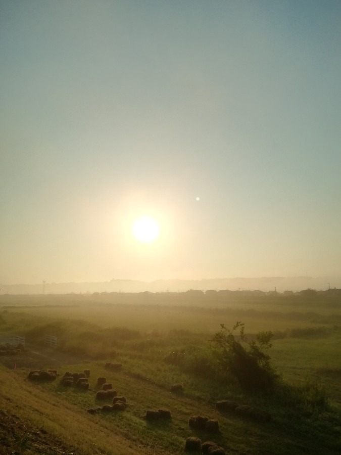 今朝の空