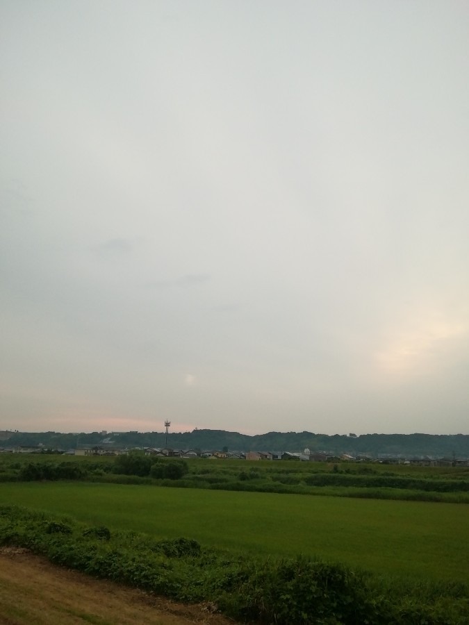 今朝の空