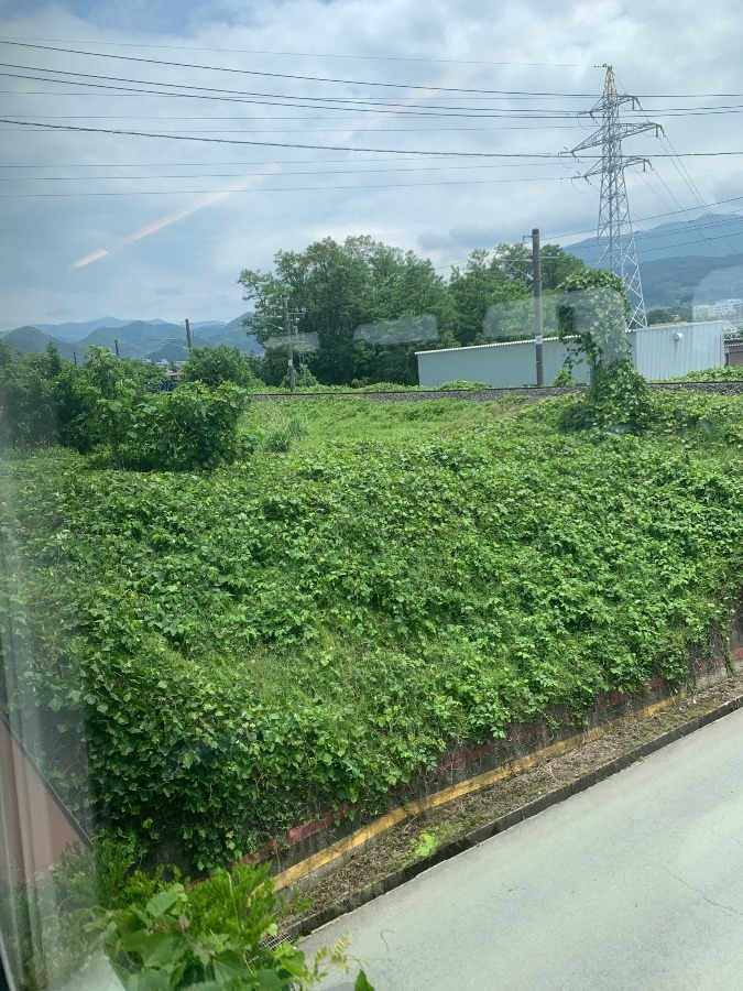新幹線の車窓から