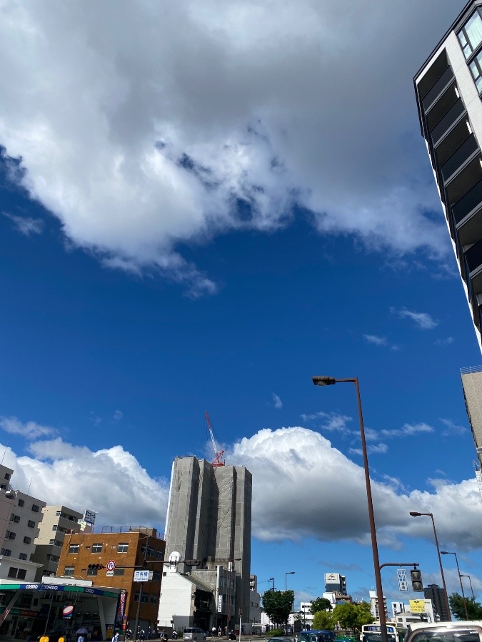 今日は空がめっちゃ綺麗