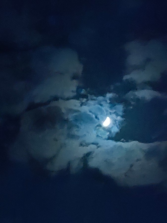 今夜は上弦の月🌓