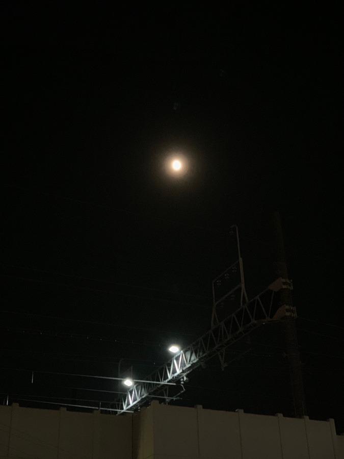 新幹線高架と月