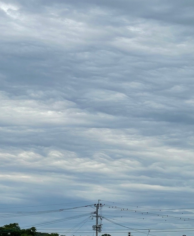 2022/6/16 朝の空