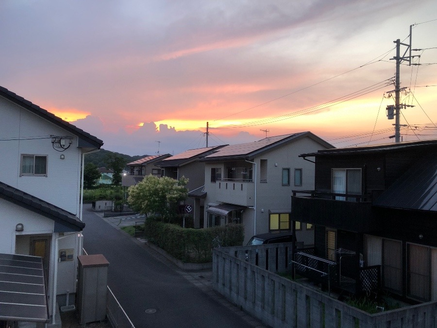 ✨今日の夕陽✨