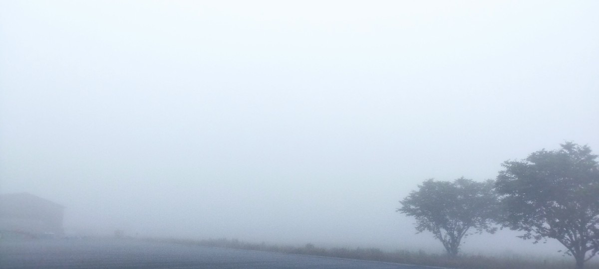 都城市（2022/6/1）　今朝は凄く霧が深いです😨