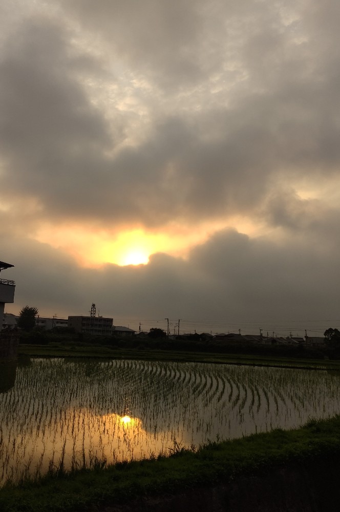 6/17 朝空 ときどき晴れ