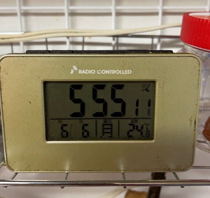 悩んだ末❣️