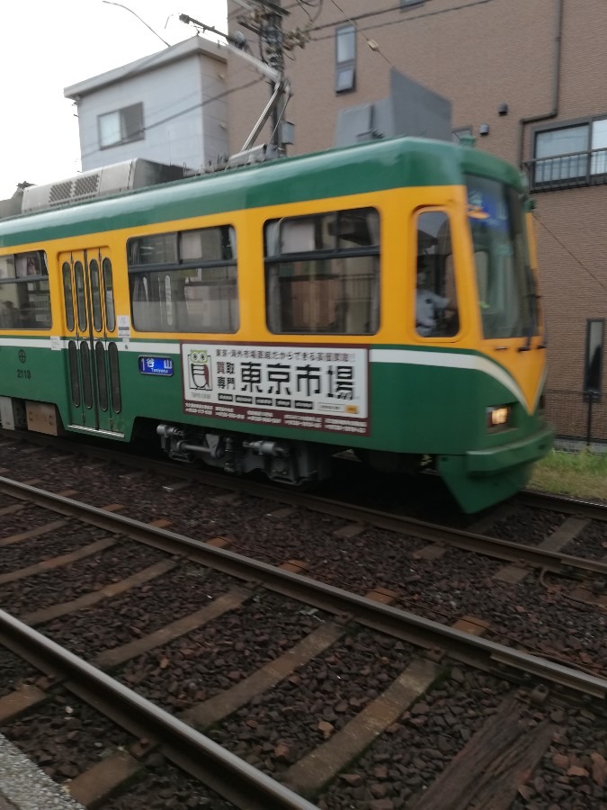 鹿児島市の電車🚃